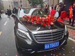 -蚂蚁婚车