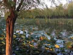 -艾溪湖湿地公园