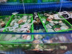 -驻海渔市(置信店)