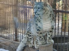 -青藏高原野生动物园