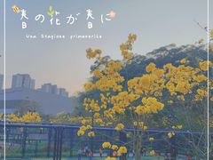 -牛岗山公园