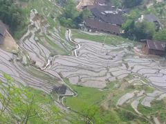 -紫鹊界梯田景区