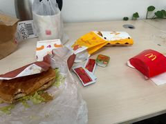 -麦当劳(朝阳北路店)