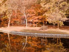 -上海共青森林公园