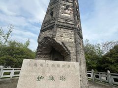 -上海佘山国家森林公园天马山园