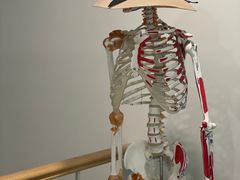 -杏林康桥中医正骨·体态矫正·跌打损伤·推拿按摩(国贸建外SOHO店)