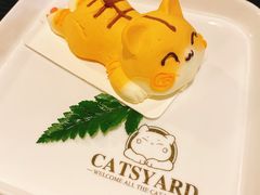 -猫小院猫主题咖啡厅(北锣店)