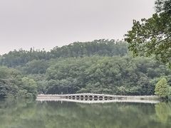 -深圳仙湖植物园