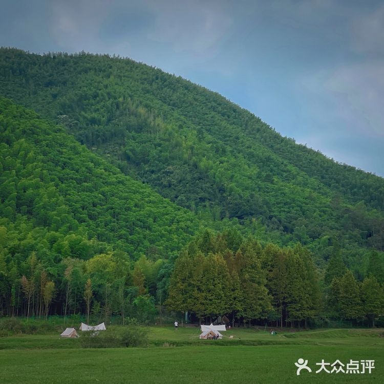 湖州安吉小杭坑营地｜可以带着狗狗🐶去的露营⛺地️
