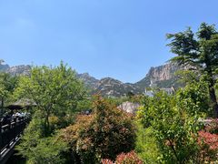 -崂山仰口游览区