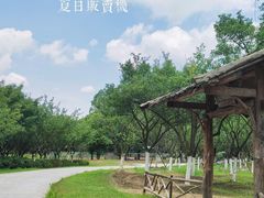 -秀丽东方