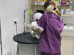 -宠颐生动物医院·小陆分院