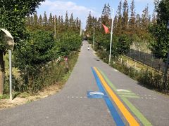 -上海长兴岛郊野公园