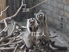 -上海野生动物园
