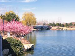 -大兴滨河森林公园