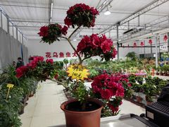 -兴芮温泉度假区