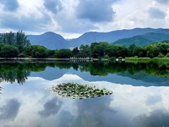 -国家植物园