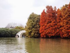 -上海海湾国家森林公园