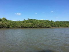 -东寨港红树林旅游区