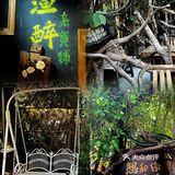 湛江丨庭院风渔醉小院
