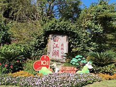 -广州白江湖森林公园