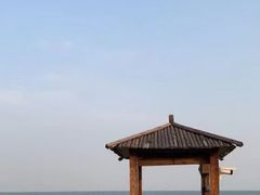 -渡海小渔村.老辈日照菜