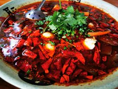 -青城甲(青城山店)