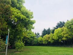 -宋庆龄陵园