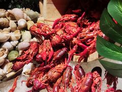 -嘉定凯悦·咖啡厅