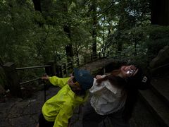 -天目山大树王景区