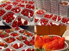 -水之梦(黄浦店)