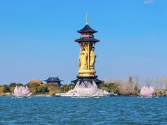 -溱湖国家湿地公园