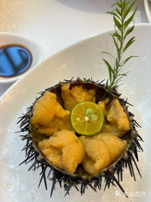品海楼·大连海胆锅贴馆(东港店)生吃活海胆图片