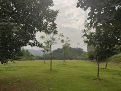 -大屏嶂森林公园