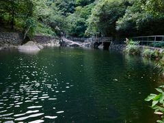 -白云源风景区