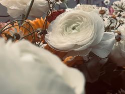 点击看大图 -芳朵美容养生SPA