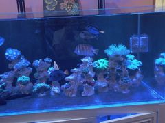 -网鱼网咖·电竞(中山友好广场店)