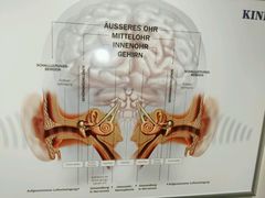 -惠耳听力助听器济南国际听力中心