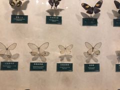 -陕西自然博物馆