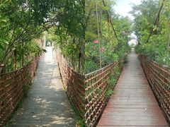 -吴淞炮台湾湿地森林公园烧烤区