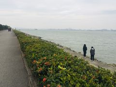 -海鸥岛
