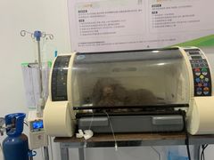 -瑞鹏宠物医院·爱宠堂·骨外专科(西荷分院)