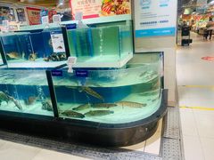水产区-盒马鲜生(和谐广场店)