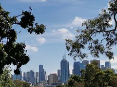 -墨尔本皇家植物园