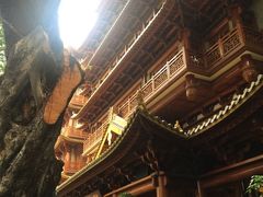 -大佛寺高级素食自助餐厅