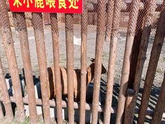 -广富林郊野公园
