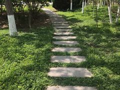 -大港湿地公园
