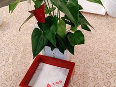 -大鸭梨(天通西苑店)
