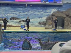 -福州罗源湾海洋世界旅游区