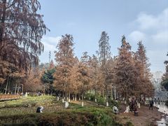 -重庆彩云湖湿地公园